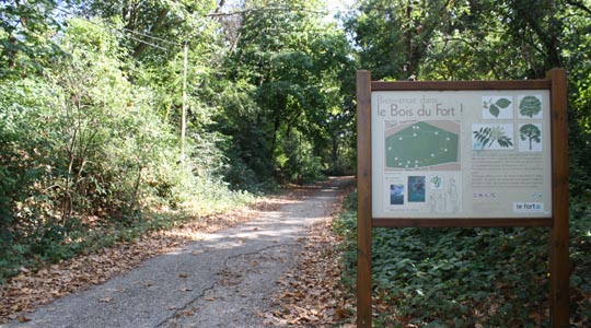 un sentier botanique parcourt les bois du fort et informe les marcheurs sur le patrimoine arbor